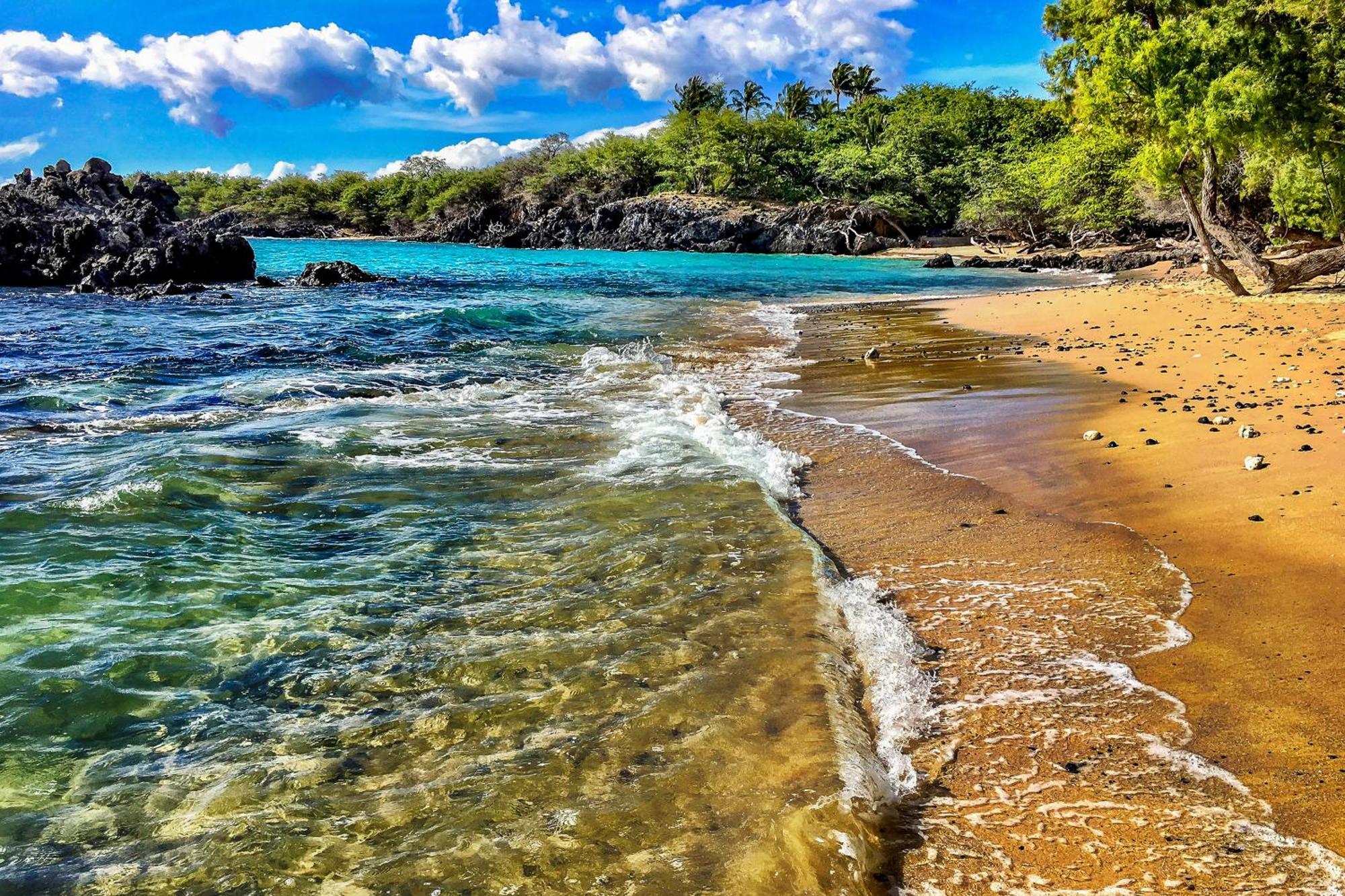 Kona Bali Kai #334 Hotell Kailua-Kona Exteriör bild