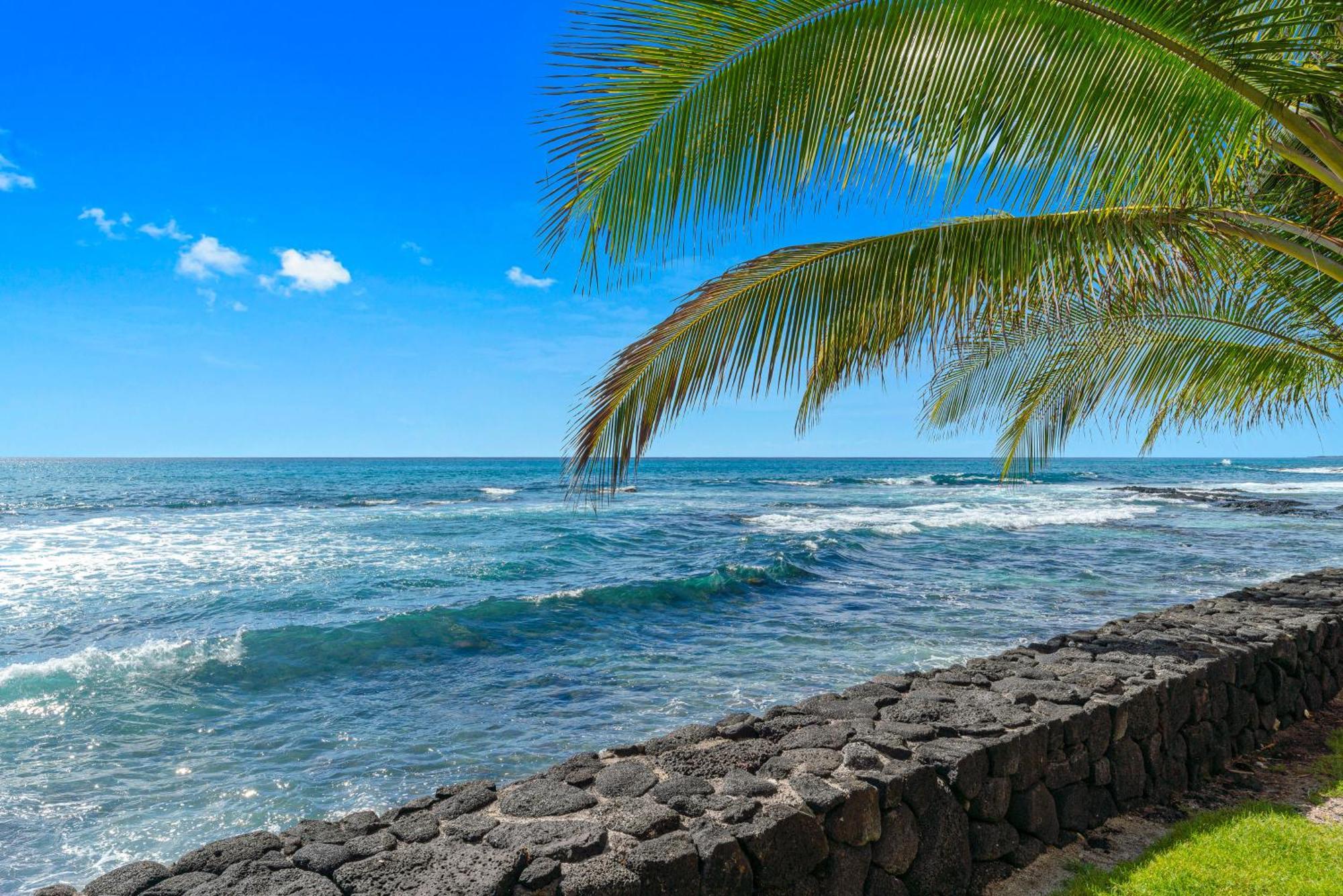 Kona Bali Kai #334 Hotell Kailua-Kona Exteriör bild