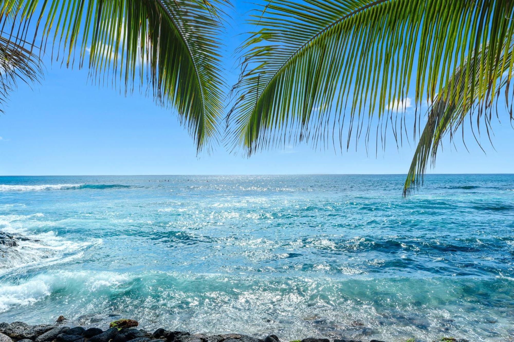 Kona Bali Kai #334 Hotell Kailua-Kona Rum bild
